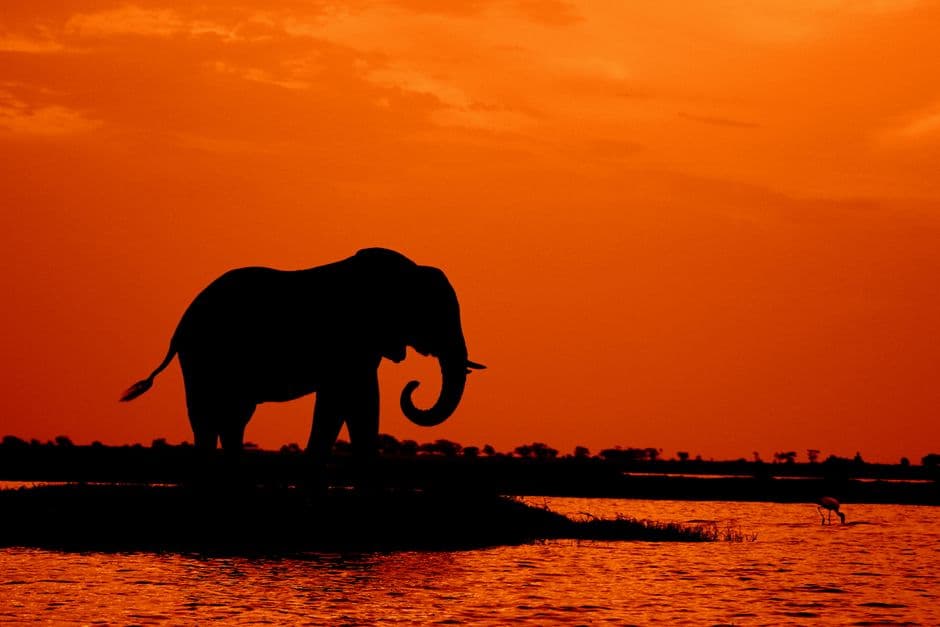 Botswana eSIM