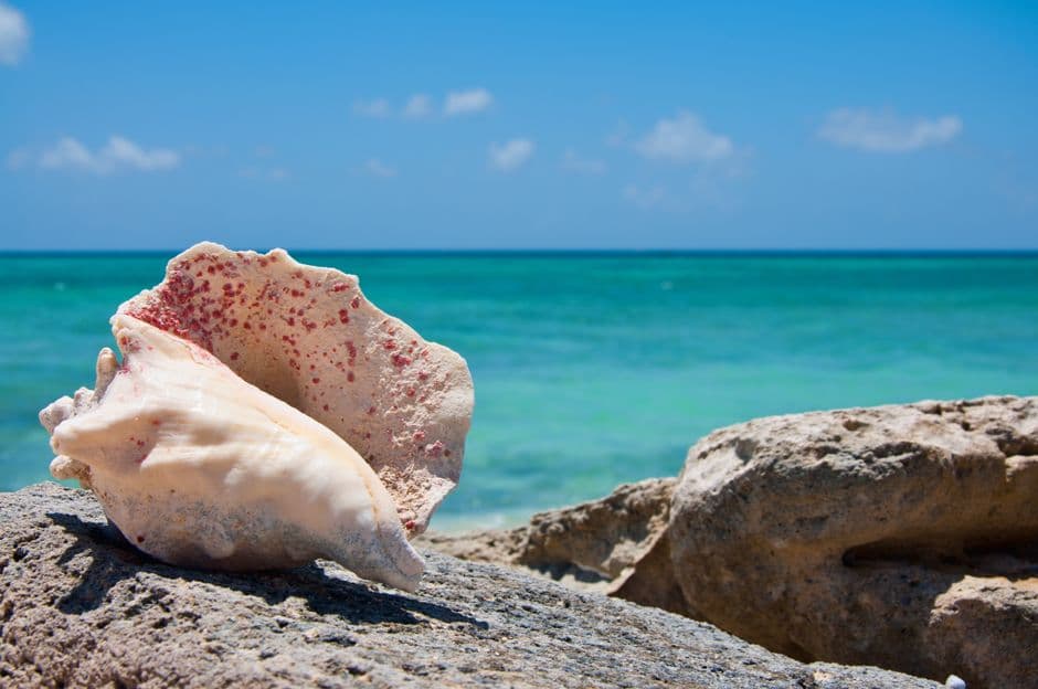 Turks and Caicos Islands eSIM