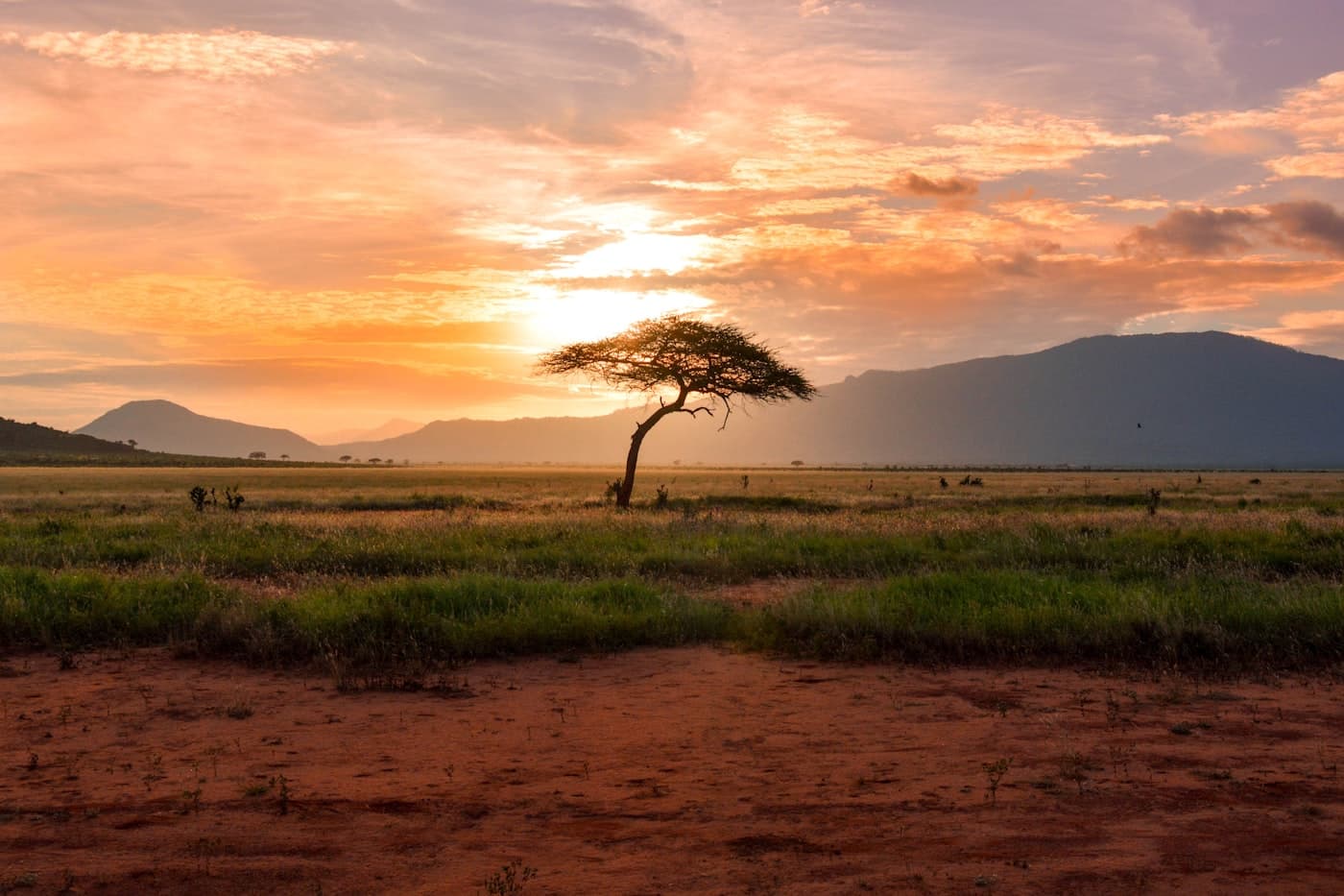 Africa eSIM